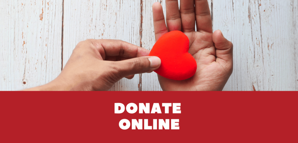 Donate Online Call to Action